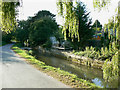 Bow Wow and the River Churn, South Cerney