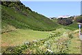 Looking up the valley towards Treknow