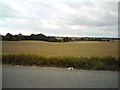 Farmland between Culpho and Playford