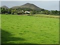 Across the fields to Eildon