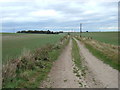 Track to  Stephenson Wold