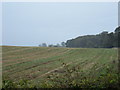 Wolds Farmland