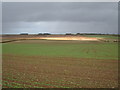 Farmland, Holme Wold