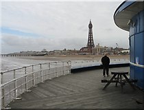 SD3036 : Blackpool Tower by Gerald Massey