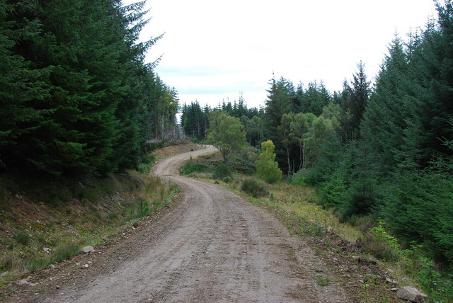 New Forest Track