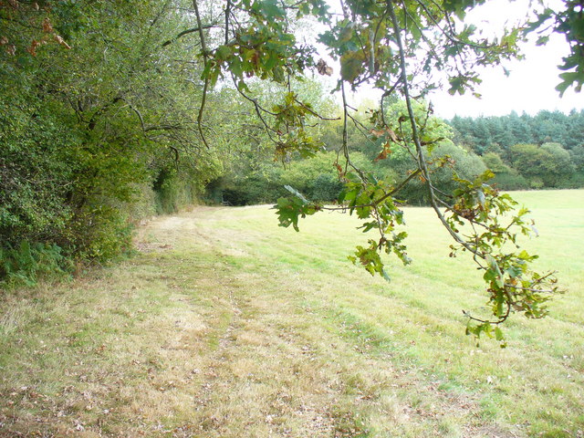 South of Winkins Woods Farm