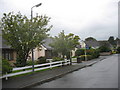 Bungalows in Marguerite Crescent