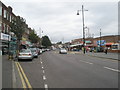 South Road in autumn