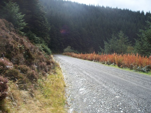 Forestry road through Myherin Forest