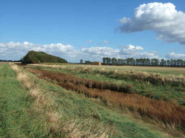 Drainage channel in Vinegar Middle north of King's Lynn
