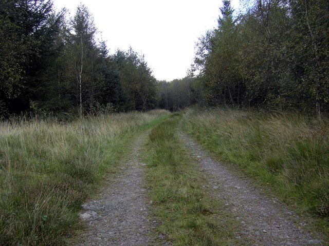 Blackberry Hill Track