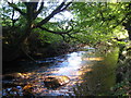 The River Fowey upstream from Trekeivesteps