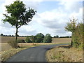 TL7948 : Country Road And Footpath by Keith Evans
