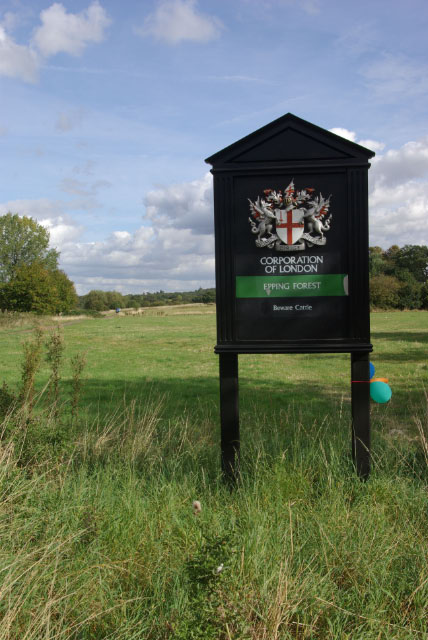 Chingford Plain