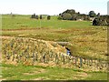 Footbridge over Elsdon Burn