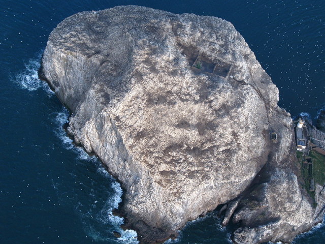 Bass Rock from the air