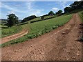 Path junction, Coate Barn