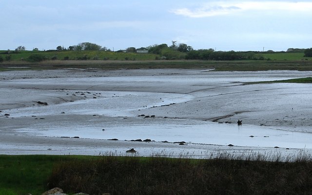 Mudflats & meanders, River Mite