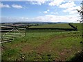 Valley below Bowering?s Barn