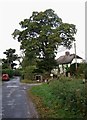 Chapel Cottages