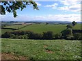 Valley below Bowering?s Barn (4)