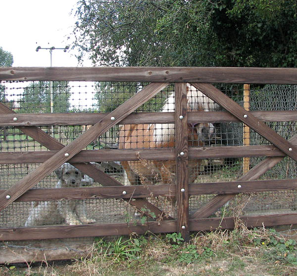 A well guarded gate
