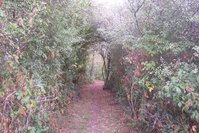 Byway to Amery Court
