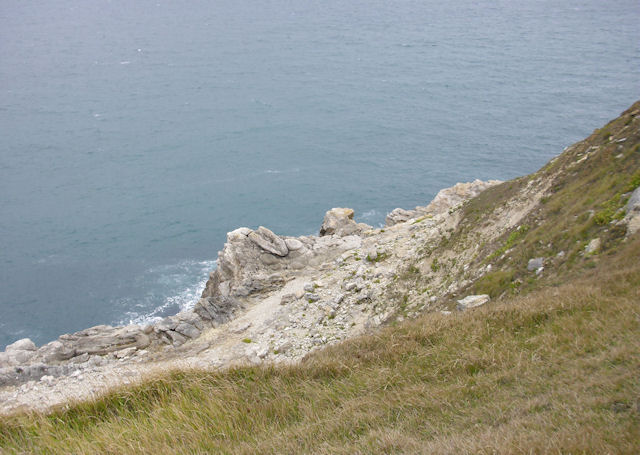 Cliffs, Fossil Forest near Lulworth Cove