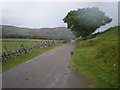 Farmland SE of Torboll Farm