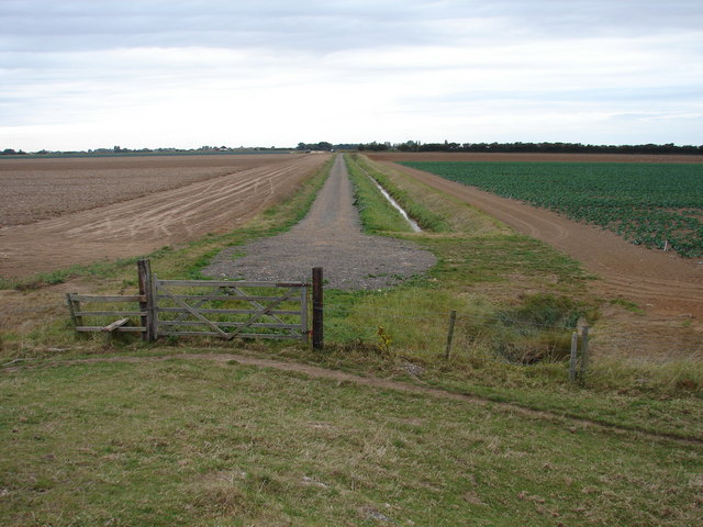 Farm track from the sea bank