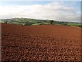 Ploughed field near Cobhay Farm