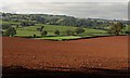 Fields northeast of Bathealton