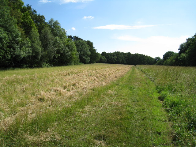 Cut path through the fields © Logomachy :: Geograph Britain and Ireland