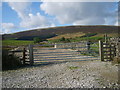 Looking towards Burn Fell