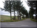 Access road to Mains of Rhynie