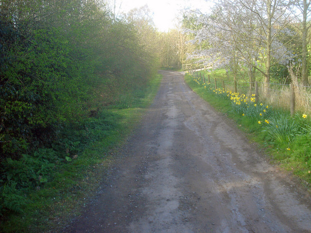 Access track to houses at Great Marston