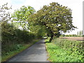 Winterbottom Lane