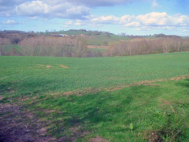 Arable land on the Great Marston Estate