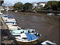 Head of Kingsbridge estuary