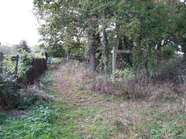 Bridleway Junction At The Ashes