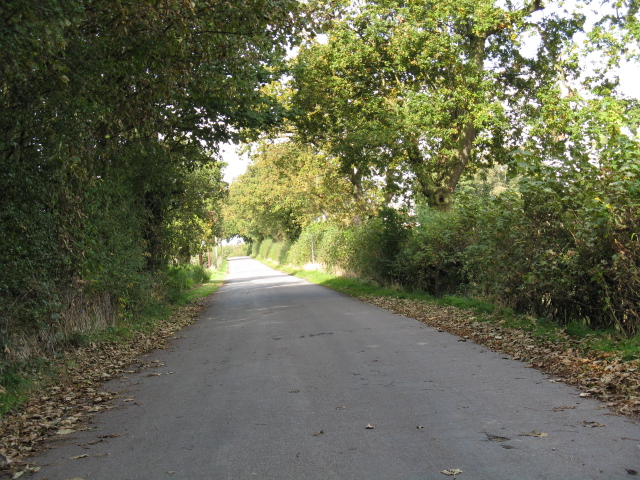 Lane To Swineyard Hall