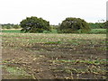 Stubble Field Off Mowpen Brow