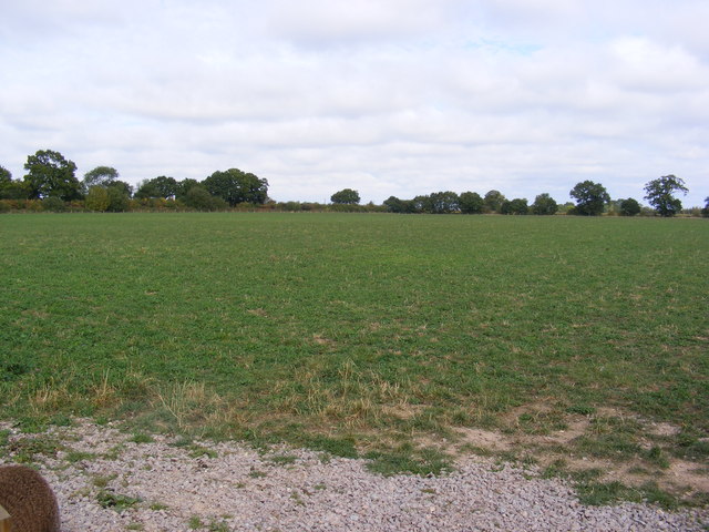 Field off Reepham Road