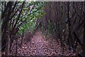 Footpath near Alcroft Grange