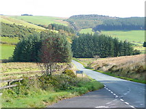 SN8793 : Mountain road to Llanidloes by Jonathan Billinger