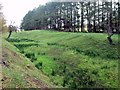 Antonine Wall near Westerwood