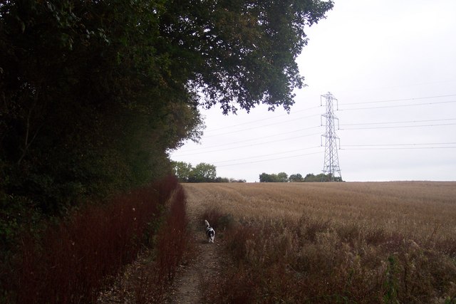 Footpath beside Paddock Wood