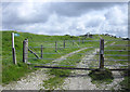 Ridgeway to Corfe Castle