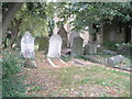 Gravestones in the old churchyard (1)