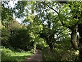 Footpath near Portlemore Barton (2)